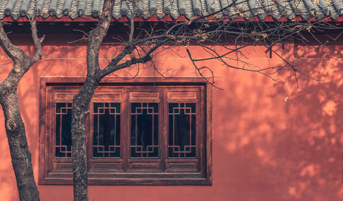 Low angle view of building seen through window