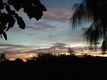 Silhouette trees against sky during sunset