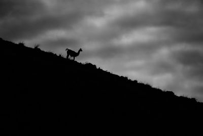 Low angle view of silhouette mountain against sky