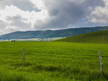 Scenic view of field against sky