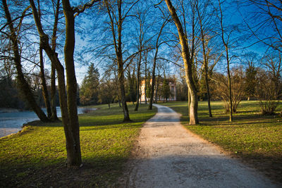 Footpath amidst bare trees in park