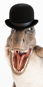 hat
