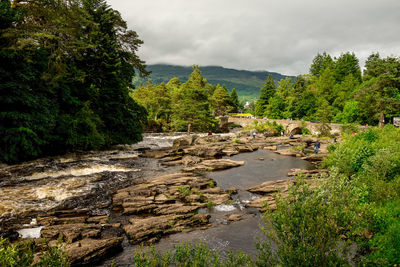 River amidst trees against sky