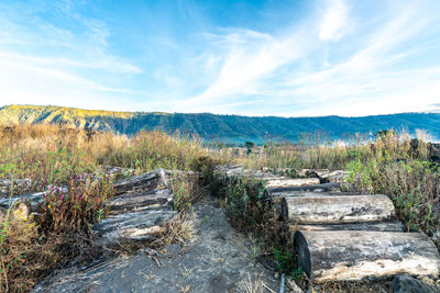 Scenic view of landscape against sky