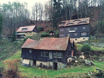 Abandoned house amidst trees and plants in field