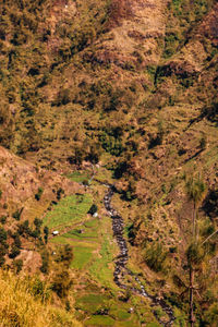 High angle view of green landscape