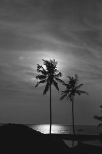 Silhouette palm trees on beach against sky