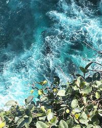 High angle view of sea shore