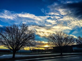 Road passing through bare trees