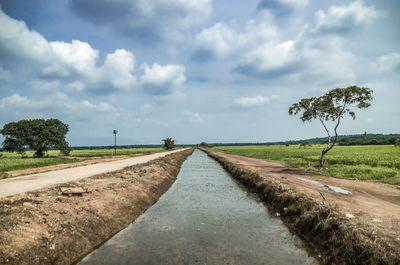 Empty road amidst field against sky