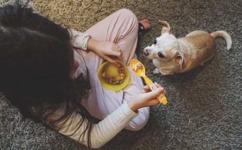 High angle view of girl with dog 