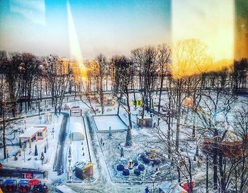 Silhouette of trees at sunset