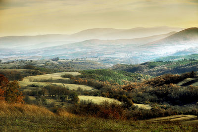 Scenic view of rural landscape
