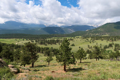Landscape of meadow, trees clouds and mountains at rocky mountain national park in colorado