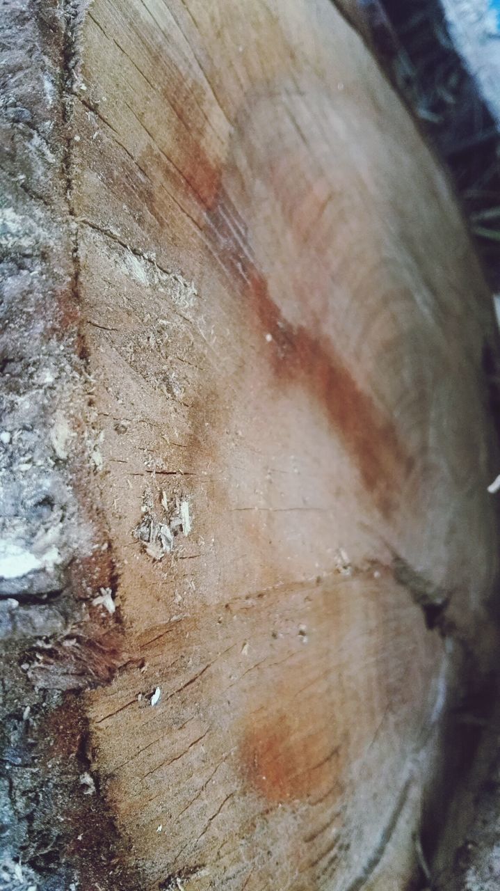 CLOSE UP OF WOOD ON WOODEN FLOOR