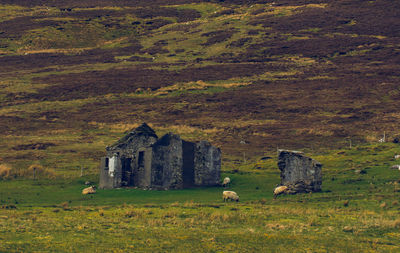 Abandoned house on field