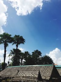Palm trees on roof against sky