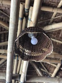 Low angle view of decoration hanging on roof