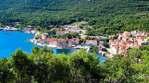 High angle view of townscape and trees in town