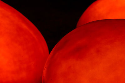 Close-up of red rose