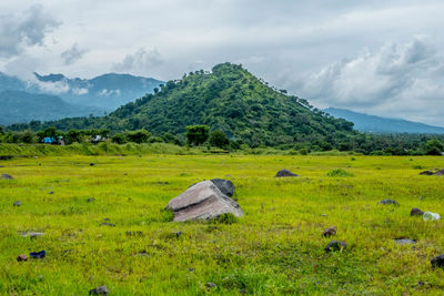 Scenic view of land against sky