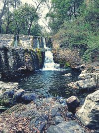 Close-up of reflection of trees in water