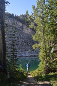 Rear view of man standing amidst trees in forest