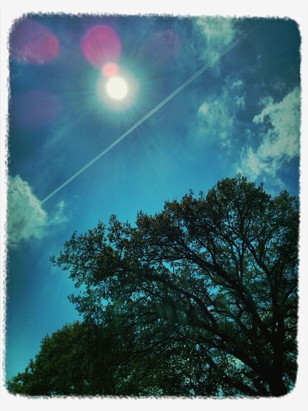 transfer print, low angle view, auto post production filter, tree, sky, sun, beauty in nature, tranquility, nature, sunlight, scenics, sunbeam, lens flare, cloud - sky, growth, blue, tranquil scene, outdoors, branch, day