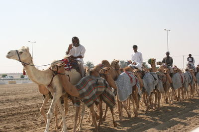 Group of people riding horses on land