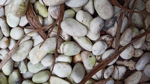 Full frame shot of pebbles