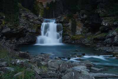 Scenic view of waterfall in forest
