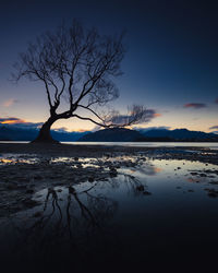 Silhouette bare tree by lake against sky during sunset