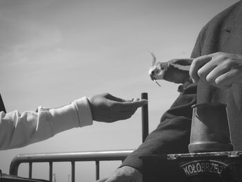 Woman hand reaching for bird against clear sky