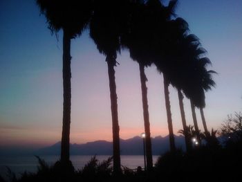 Silhouette of palm trees at sunset