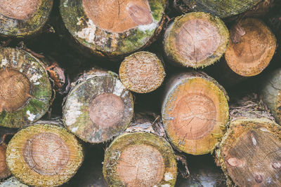 Full frame shot of logs