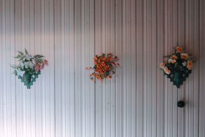 Close-up of flowers against wall