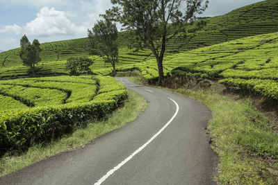 Road amidst field against sky