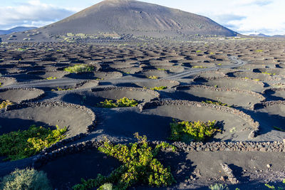 Aerial view of landscape