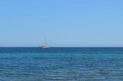 Sailboat sailing in sea against clear sky