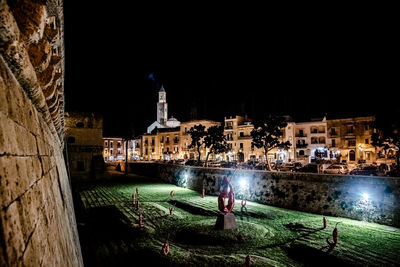 People at illuminated buildings in city at night