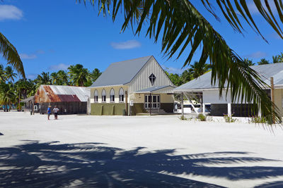 Palm trees and houses against blue sky