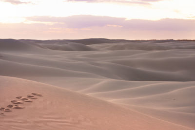 Scenic view of desert against sky during sunset