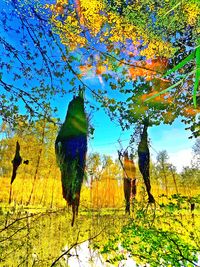 Trees against sky during autumn