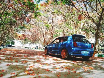 Autumn leaves on car park