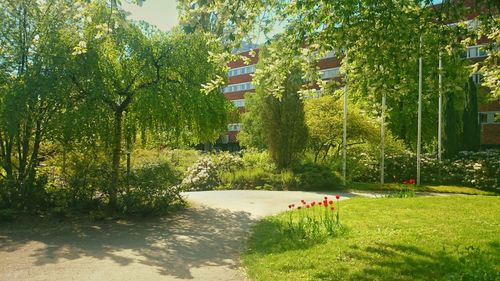 People relaxing in park