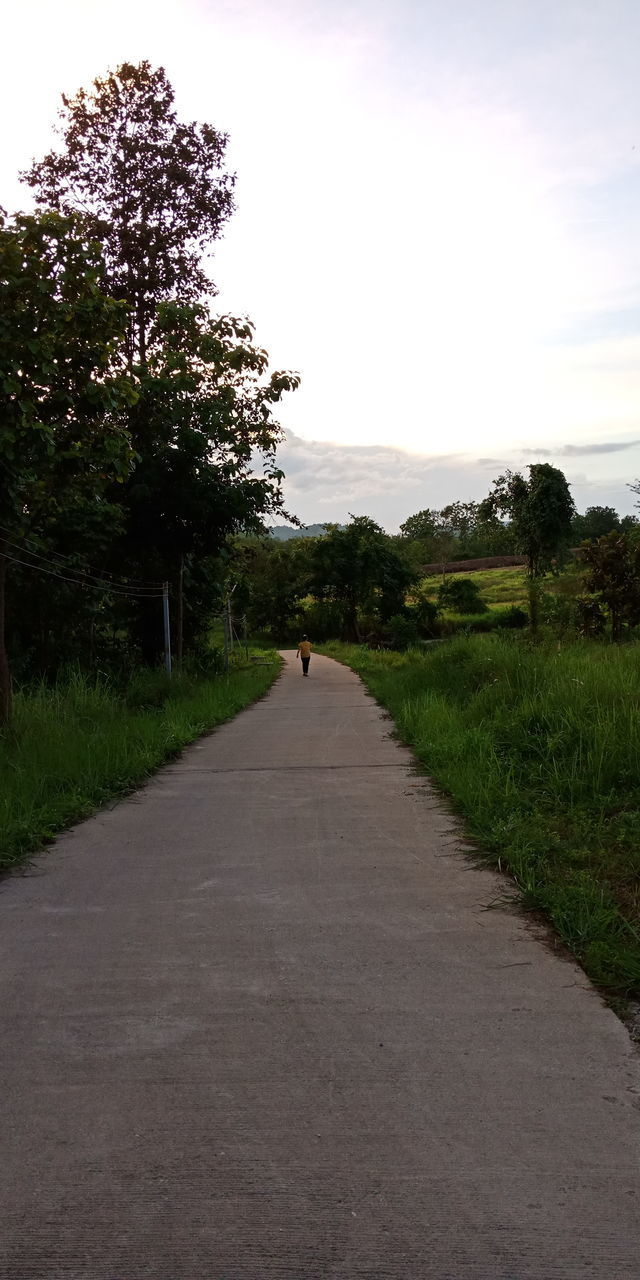 ROAD PASSING THROUGH LANDSCAPE