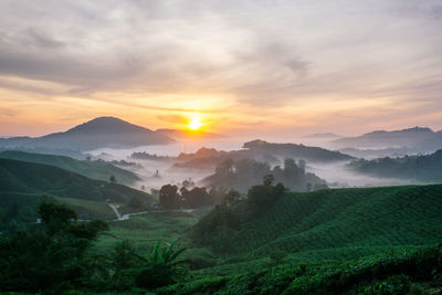 Scenic view of field against sky during sunset