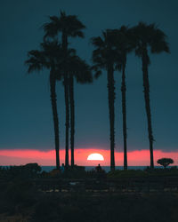 Silhouette palm trees against sky during sunset