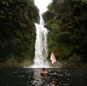 Scenic view of waterfall in forest