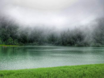 Scenic view of lake with trees in background